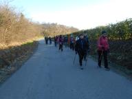 NORDIC WALKING CON PAOLA A CANELLI