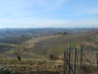 CAMMINATA IN NORDIC WALKING CON PAOLA A MOMBARUZZO