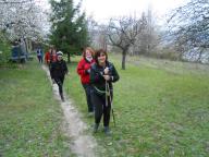 CAMMINATA AD ACQUI TERME