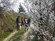 CAMMINATA IN NORDIC WALKING CON PAOLA