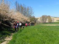 PASQUETTA al BIALBERO.