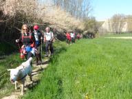 PASQUETTA al BIALBERO.