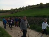 CAMMINATA IN TECNICA NORDIC WALKING CON DINO