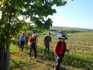 CAMMINATA IN NORDIC WALKING CON PAOLA A NIZZA MONF.TO