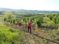 CAMMINATA IN NORDIC WALKING CON PAOLA A NIZZA MONF.TO