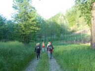 CAMMINATA IN NORDIC WALKING CON PAOLA A VINCHIO