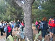 I° MAGGIO IN NORDIC WALKING A LAIGUEGLIA