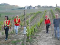 NORDIC WALKING CON PAOLA A CASALOTTO/MOMBARUZZO