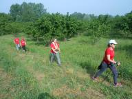 NORDIC WALKING CON PAOLA A NIZZA