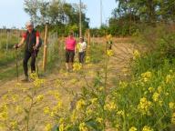 NORDIC WALKING SUI SENTIERI DI INCISA S. CON PAOLA