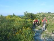 NORDIC WALKING CON PAOLA AI CAFFI