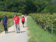 NORDIC WALKING A CALAMANDRANA ALTA CON PRANZO