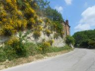 NORDIC WALKING A CALAMANDRANA ALTA CON PRANZO