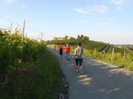 NORDIC WALKING CON PAOLA A CANELLI