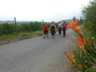 NORDIC WALKING CON PAOLA A CANELLI