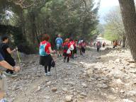 DOMENICA DI NORDIC WALKING A LAIGUEGLIA