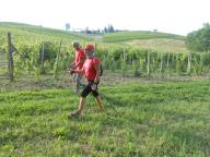 NORDIC WALKING CON PAOLA TRA BAZZANA E CASALOTTO