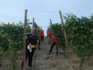 NORDIC WALKING CON PAOLA TRA BAZZANA E CASALOTTO