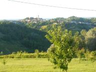 NORDIC WALKING CON PAOLA IN VAL SARMASSA