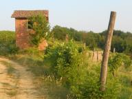 NORDIC WALKING SUI SENTIERI DI INCISA S.