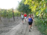 NORDIC WALKING SUI SENTIERI DI INCISA S.