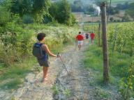 NORDIC WALKING SUI SENTIERI DI INCISA S.