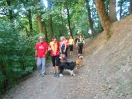 NORDIC WALKING CON PAOLA IN SEMI NOTTURNA