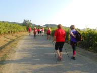 NORDIC WALKING SUI SENTIERI PAVESIANI