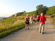 NORDIC WALKING SUI SENTIERI PAVESIANI