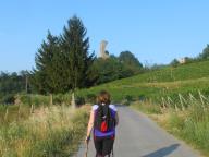 NORDIC WALKING SUI SENTIERI PAVESIANI