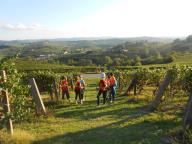 NORDIC WALKING SULLE COLLINE DI NIZZA CON PAOLA