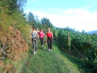 NORDIC WALKING AI CAFFI CON PAOLA