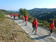 CAMMINATA IN NORDIC WALKING A ROCCHETTA PALAFEA