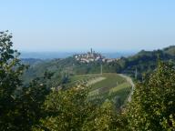 CAMMINATA IN NORDIC WALKING A ROCCHETTA PALAFEA