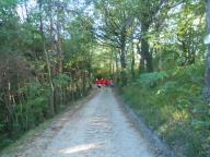 CAMMINATA IN NORDIC WALKING A ROCCHETTA PALAFEA