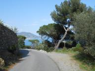 DOMENICA DI NORDIC WALKING A LAIGUEGLIA