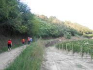 NORDIC WALKING TRA NIZZA E VAGLIO