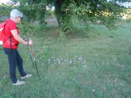 NORDIC WALKING A MOMBARUZZO