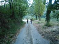 NORDIC WALKING A CALAMANDRANA ALTA