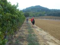 NORDIC WALKING A CASSINASCO-BUBBIO