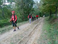 NORDIC WALKING A VINCHIO