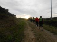 NORDIC WALKING A VINCHIO