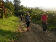 NORDIC WALKING A CALAMANDRANA-SAN VITO