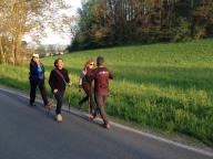 CAMMINATA IN TECNICA NORDIC WALKING 