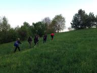 CAMMINATA IN TECNICA NORDIC WALKING 