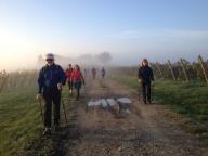 NORDIC WALKING TRA PORTACOMARO E CREA