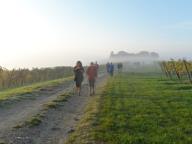 NORDIC WALKING TRA PORTACOMARO E CREA