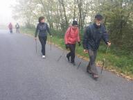 NORDIC WALKING TRA CALAMANDRANA ALTA E ROCCHETTA PALAFEA