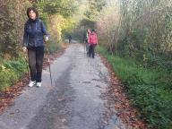 NORDIC WALKING TRA CALAMANDRANA ALTA E ROCCHETTA PALAFEA