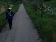 CAMMINATA IN TECNICA NORDIC WALKING 